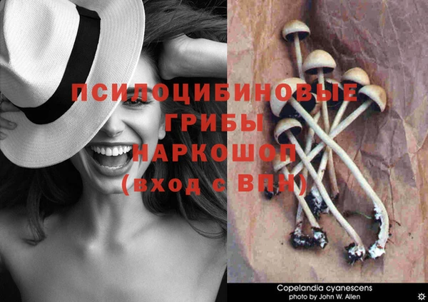 круглые Алексин
