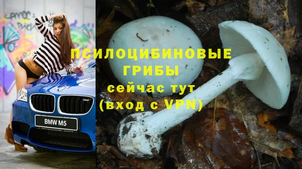 круглые Алексин