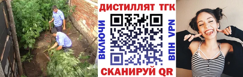 дарнет шоп  дарк нет клад  Дистиллят ТГК THC oil  Алексеевка 