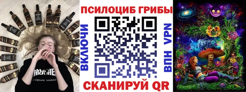 Псилоцибиновые грибы Psilocybine cubensis  закладки  Алексеевка 