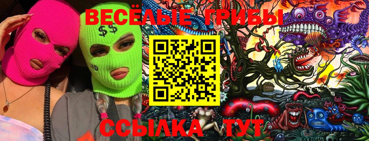 Галлюциногенные грибы Psilocybine cubensis Алексеевка
